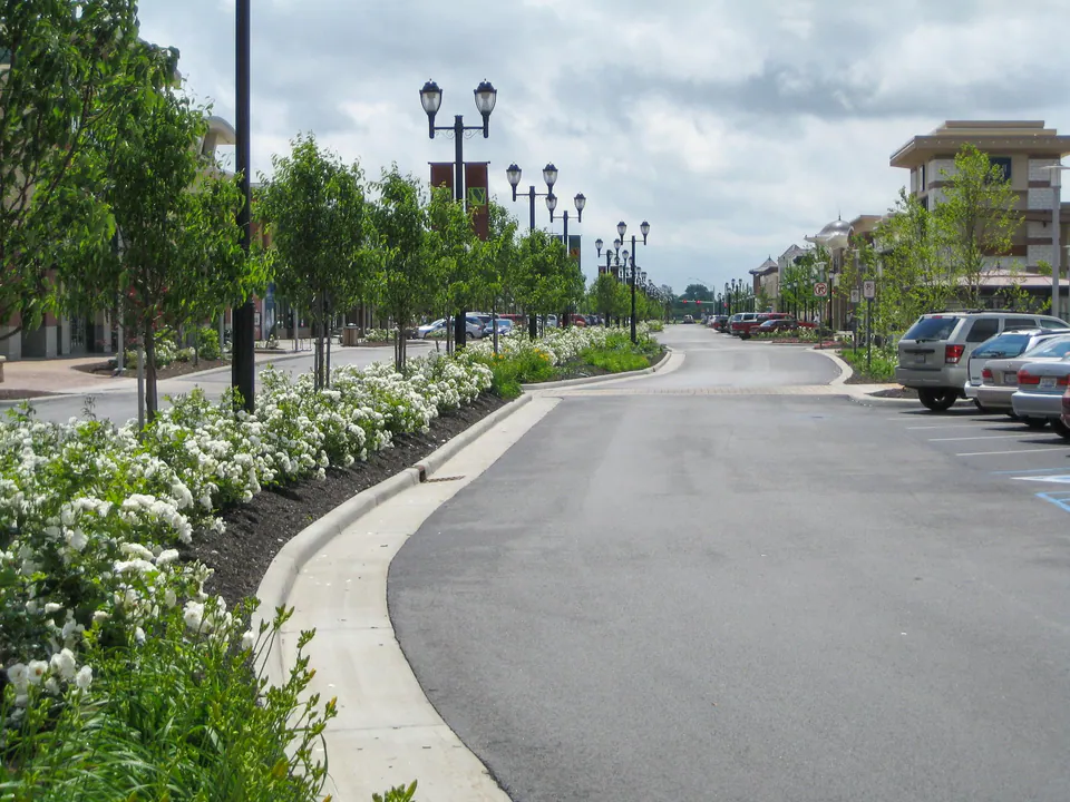 Retail roadway planting with white flowering shrubs, street trees, lamp posts, banners, and curb line
